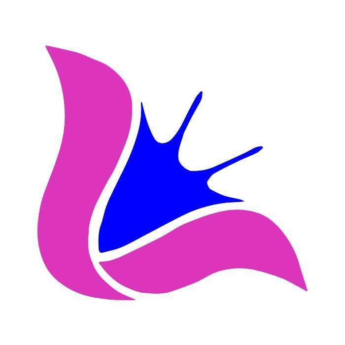 Emer  Logo